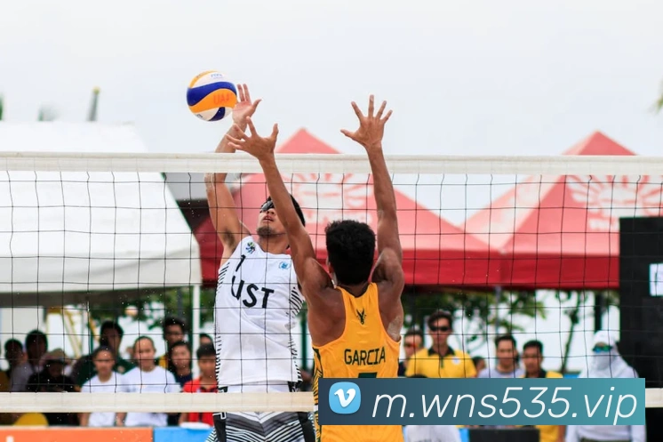 澳门威尼斯人娱乐城平台生态图